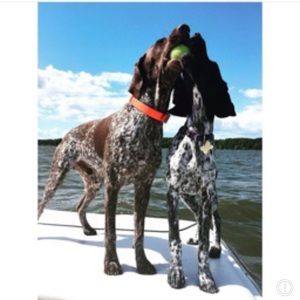 Meet your Posher, Julie